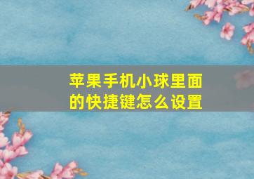 苹果手机小球里面的快捷键怎么设置