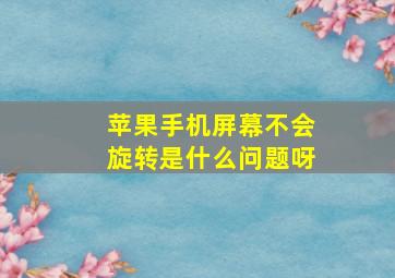 苹果手机屏幕不会旋转是什么问题呀