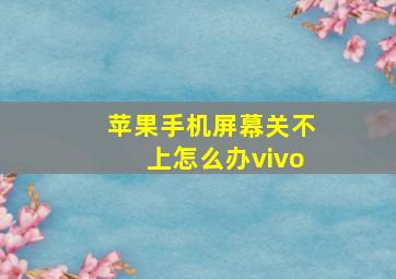 苹果手机屏幕关不上怎么办vivo