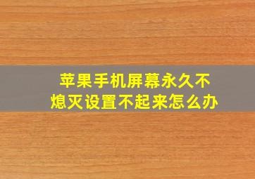 苹果手机屏幕永久不熄灭设置不起来怎么办