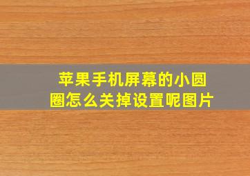 苹果手机屏幕的小圆圈怎么关掉设置呢图片