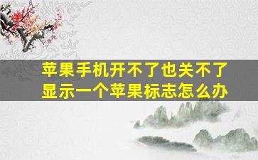 苹果手机开不了也关不了显示一个苹果标志怎么办