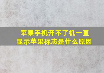 苹果手机开不了机一直显示苹果标志是什么原因