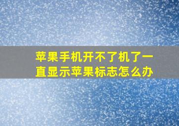 苹果手机开不了机了一直显示苹果标志怎么办