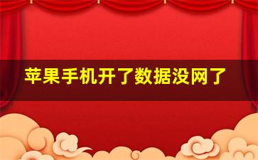 苹果手机开了数据没网了