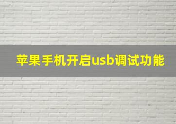 苹果手机开启usb调试功能