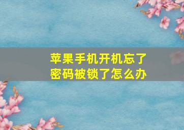 苹果手机开机忘了密码被锁了怎么办