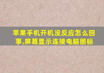 苹果手机开机没反应怎么回事,屏幕显示连接电脑图标