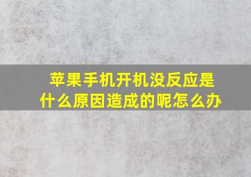 苹果手机开机没反应是什么原因造成的呢怎么办