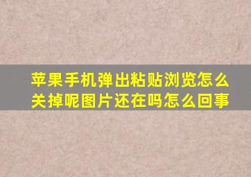 苹果手机弹出粘贴浏览怎么关掉呢图片还在吗怎么回事