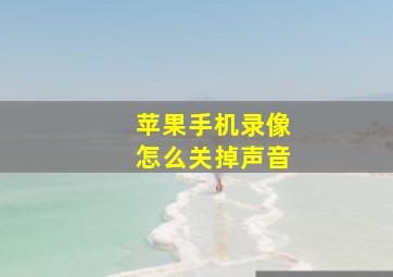 苹果手机录像怎么关掉声音