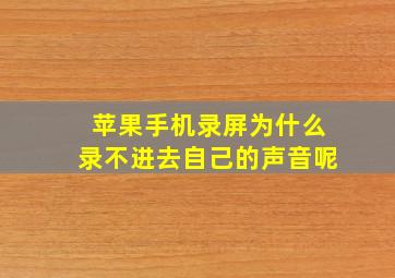 苹果手机录屏为什么录不进去自己的声音呢