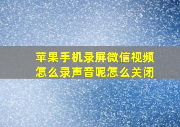 苹果手机录屏微信视频怎么录声音呢怎么关闭