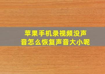 苹果手机录视频没声音怎么恢复声音大小呢