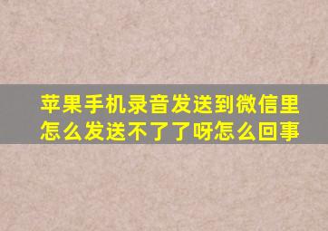 苹果手机录音发送到微信里怎么发送不了了呀怎么回事