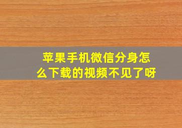 苹果手机微信分身怎么下载的视频不见了呀