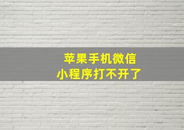 苹果手机微信小程序打不开了