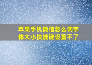 苹果手机微信怎么调字体大小快捷键设置不了