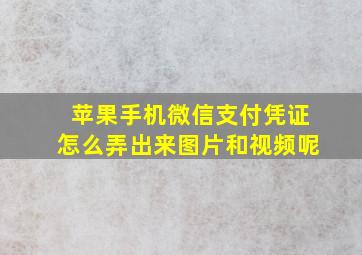 苹果手机微信支付凭证怎么弄出来图片和视频呢