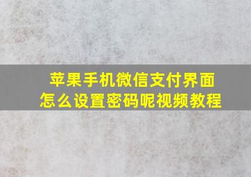 苹果手机微信支付界面怎么设置密码呢视频教程