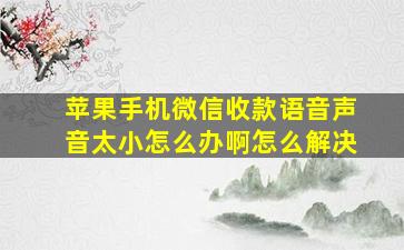 苹果手机微信收款语音声音太小怎么办啊怎么解决