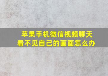 苹果手机微信视频聊天看不见自己的画面怎么办