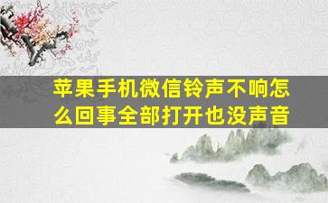 苹果手机微信铃声不响怎么回事全部打开也没声音