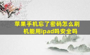 苹果手机忘了密码怎么刷机能用ipad吗安全吗