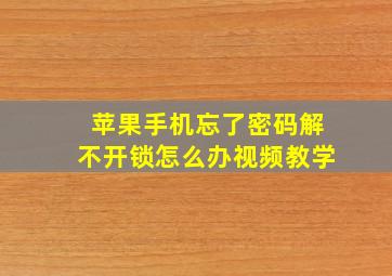 苹果手机忘了密码解不开锁怎么办视频教学