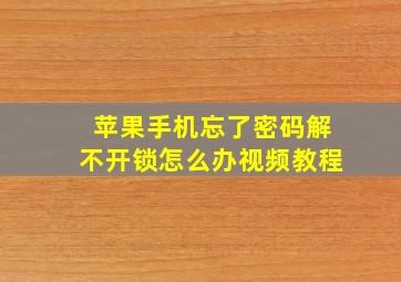 苹果手机忘了密码解不开锁怎么办视频教程