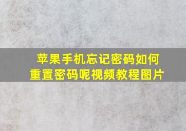 苹果手机忘记密码如何重置密码呢视频教程图片