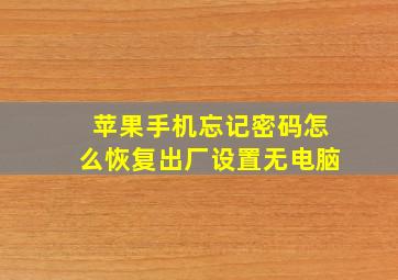 苹果手机忘记密码怎么恢复出厂设置无电脑