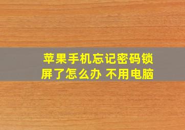 苹果手机忘记密码锁屏了怎么办 不用电脑