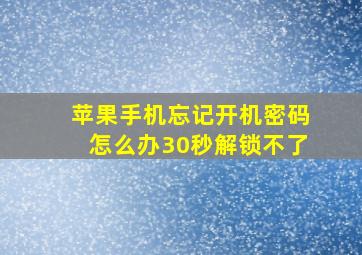 苹果手机忘记开机密码怎么办30秒解锁不了