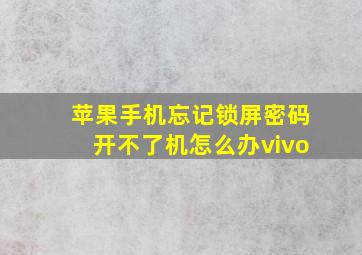 苹果手机忘记锁屏密码开不了机怎么办vivo