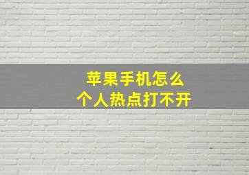 苹果手机怎么个人热点打不开