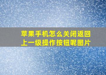 苹果手机怎么关闭返回上一级操作按钮呢图片