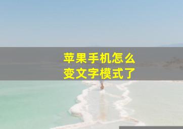 苹果手机怎么变文字模式了