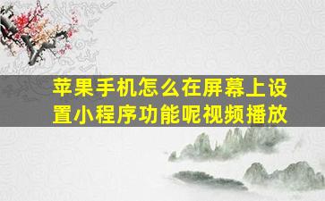 苹果手机怎么在屏幕上设置小程序功能呢视频播放