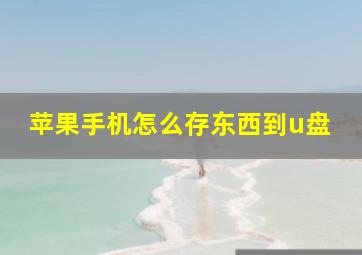 苹果手机怎么存东西到u盘