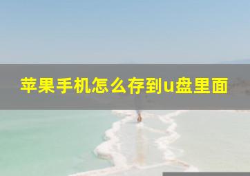 苹果手机怎么存到u盘里面