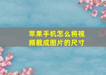 苹果手机怎么将视频截成图片的尺寸