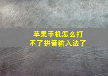 苹果手机怎么打不了拼音输入法了