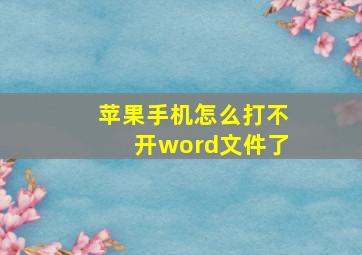 苹果手机怎么打不开word文件了