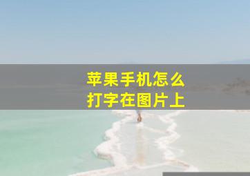 苹果手机怎么打字在图片上