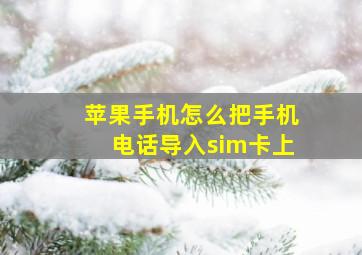 苹果手机怎么把手机电话导入sim卡上