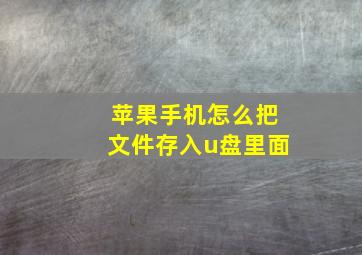 苹果手机怎么把文件存入u盘里面