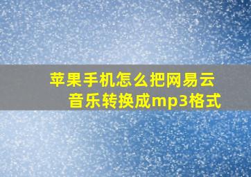 苹果手机怎么把网易云音乐转换成mp3格式