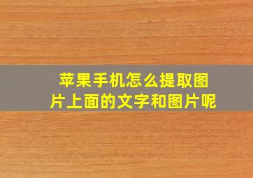 苹果手机怎么提取图片上面的文字和图片呢