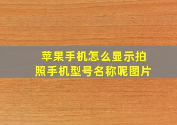 苹果手机怎么显示拍照手机型号名称呢图片